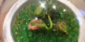 Beans talk review [&hellip;]
