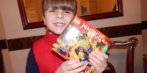 LEGO: Ninjago – […]