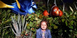 Finding Nemo & […]
