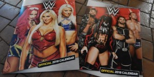 Danilo Official WWE […]