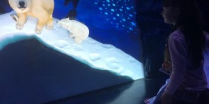 Sea Life London […]