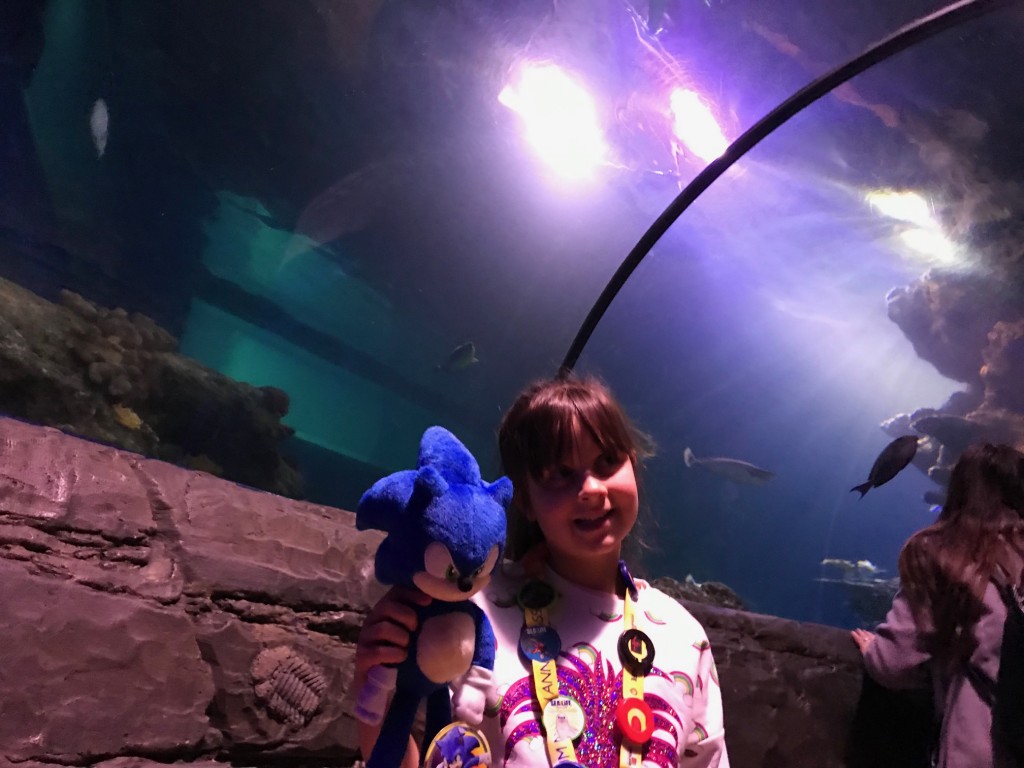 Sea Life Sonic 10 (2)