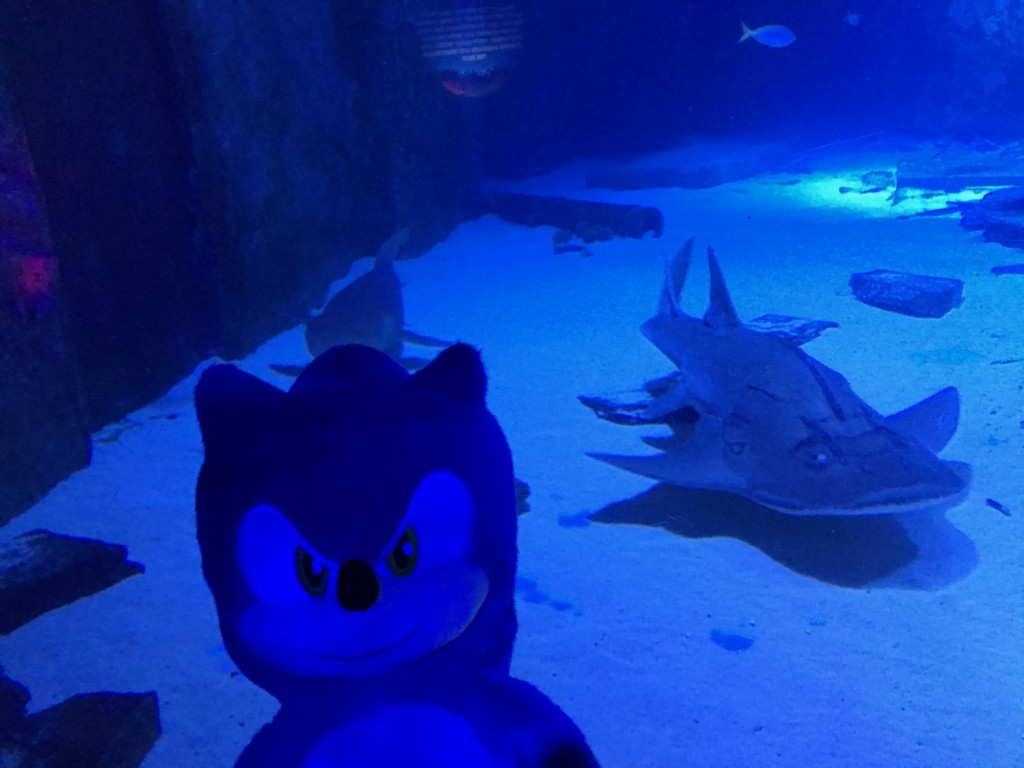 Sea Life Sonic 14