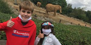 Colchester Zoo review […]