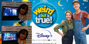 Disney + Bex […]