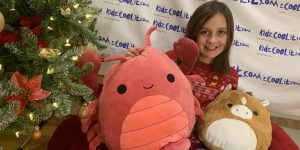 Kelly Toys – […]