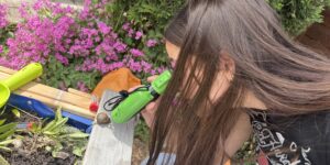 The Outdoor Toy [&hellip;]