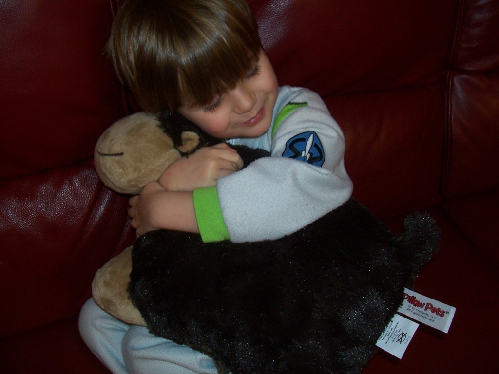 The Original Pillow Pets