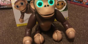 Zoomer Chimp review […]